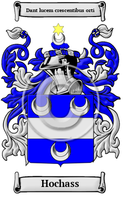 Hochass Family Crest/Coat of Arms