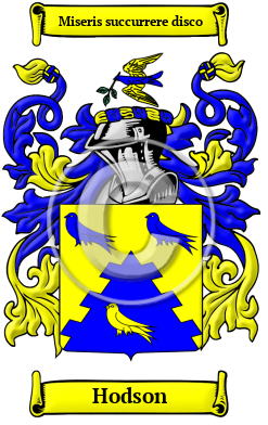 Hodson Family Crest/Coat of Arms