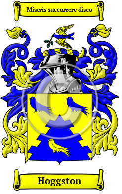 Hoggston Family Crest/Coat of Arms