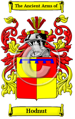 Hodnut Family Crest/Coat of Arms
