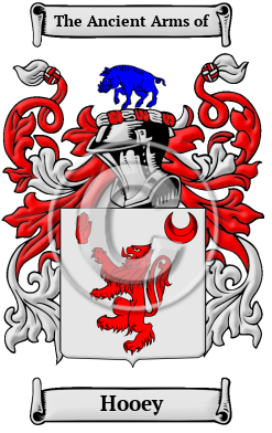 Hooey Family Crest/Coat of Arms