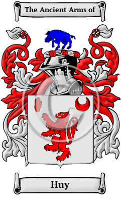 Huy Family Crest/Coat of Arms