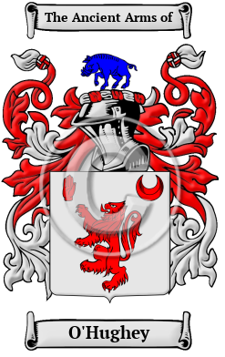 O'Hughey Family Crest/Coat of Arms