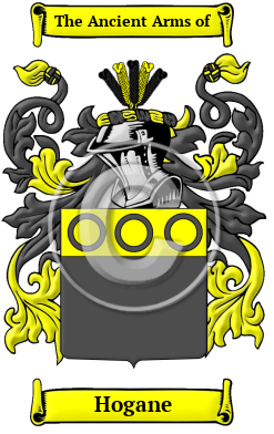 Hogane Name Meaning, Family History, Family Crest & Coats of Arms