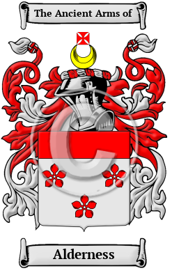 Alderness Family Crest/Coat of Arms