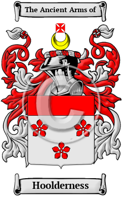 Hoolderness Family Crest/Coat of Arms