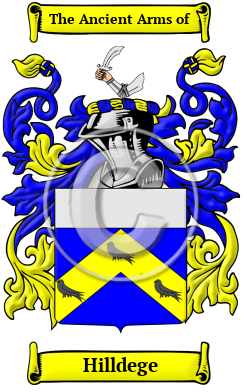 Hilldege Family Crest/Coat of Arms