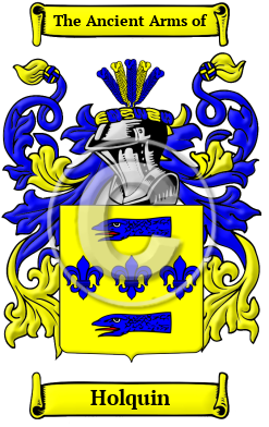 Holquin Family Crest/Coat of Arms
