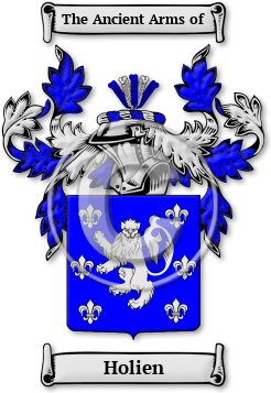 Holien Family Crest Download (jpg) Legacy Series - 150 DPI