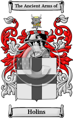 Holins Family Crest/Coat of Arms