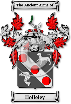 Holleley Family Crest Download (jpg) Legacy Series - 150 DPI