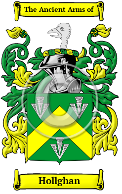 Hollghan Family Crest/Coat of Arms