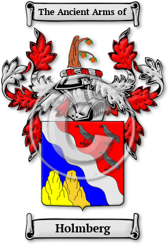 Holmberg Family Crest Download (jpg) Legacy Series - 150 DPI
