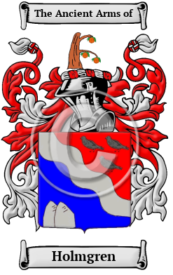 Holmgren Family Crest/Coat of Arms