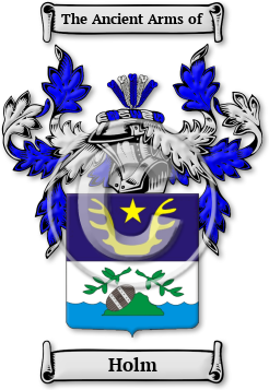 Holm Family Crest Download (JPG) Legacy Series - 600 DPI