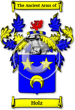 Holz Family Crest Download (JPG) Legacy Series - 600 DPI