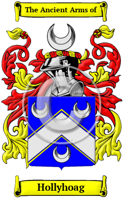 Hollyhoag Family Crest/Coat of Arms