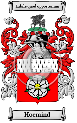 Hoemind Family Crest/Coat of Arms