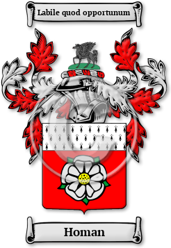 Homan Family Crest Download (jpg) Legacy Series - 150 DPI
