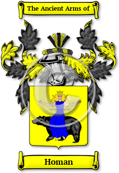 Homan Family Crest Download (jpg) Legacy Series - 150 DPI