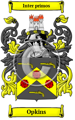 Opkins Family Crest/Coat of Arms