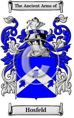 Hosfeld Family Crest/Coat of Arms