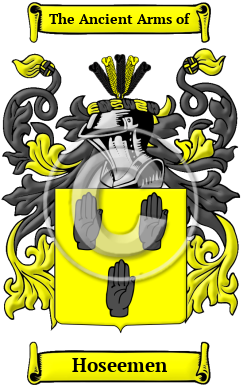 Hoseemen Family Crest/Coat of Arms