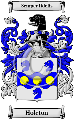 Holeton Family Crest/Coat of Arms