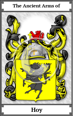 Hoy Family Crest Download (JPG)  Book Plated - 150 DPI
