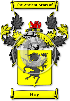 Hoy Family Crest Download (jpg) Legacy Series - 150 DPI