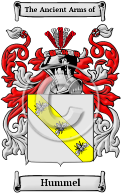 Hummel Name Meaning, Family History, Family Crest & Coats of Arms