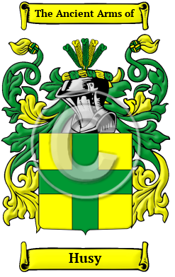 Husy Family Crest/Coat of Arms