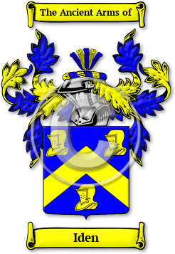 Iden Family Crest Download (jpg) Legacy Series - 150 DPI