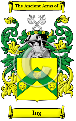 Ing Family Crest/Coat of Arms