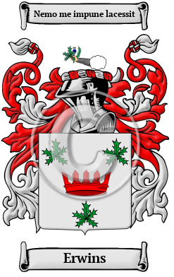 Erwins Family Crest Download (JPG) Heritage Series - 600 DPI