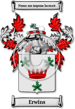 Erwins Family Crest Download (jpg) Legacy Series - 150 DPI