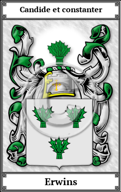 Erwins Family Crest Download (JPG) Book Plated - 600 DPI