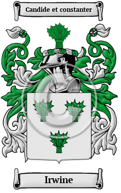 Irwine Family Crest/Coat of Arms