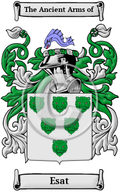 Esat Family Crest Download (JPG) Heritage Series - 300 DPI