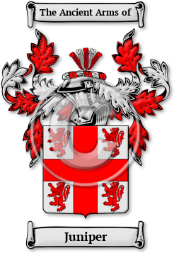 Juniper Family Crest Download (jpg) Legacy Series - 150 DPI