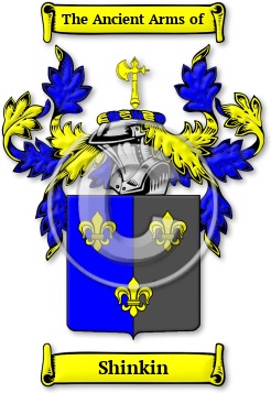 Shinkin Family Crest Download (jpg) Legacy Series - 150 DPI