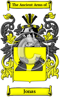 Jonas Family Crest/Coat of Arms