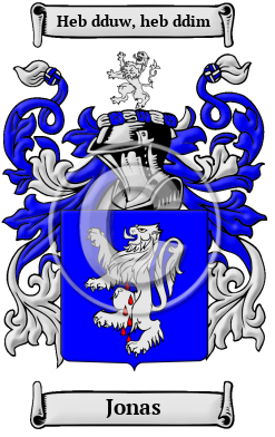 Jonas Family Crest/Coat of Arms