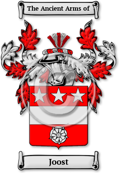 Joost Family Crest Download (jpg) Legacy Series - 150 DPI