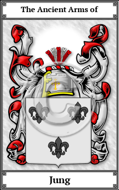 Jung Family Crest Download (JPG)  Book Plated - 150 DPI