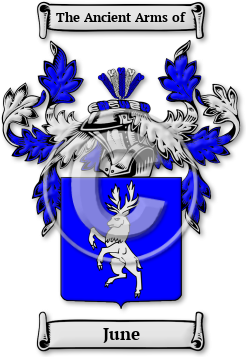 June Family Crest Download (JPG) Legacy Series - 600 DPI