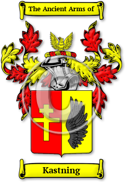 Kastning Family Crest Download (JPG) Legacy Series - 600 DPI