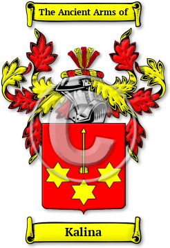 Kalina Family Crest Download (jpg) Legacy Series - 150 DPI