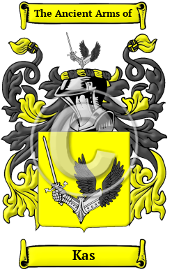 Kas Family Crest/Coat of Arms