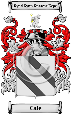 Caie Name Meaning, Family History, Family Crest & Coats of Arms